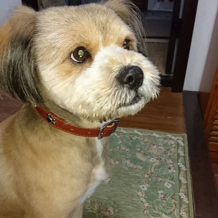 2a959e10 2c68 4452 b79f e7aa3b8c41b6