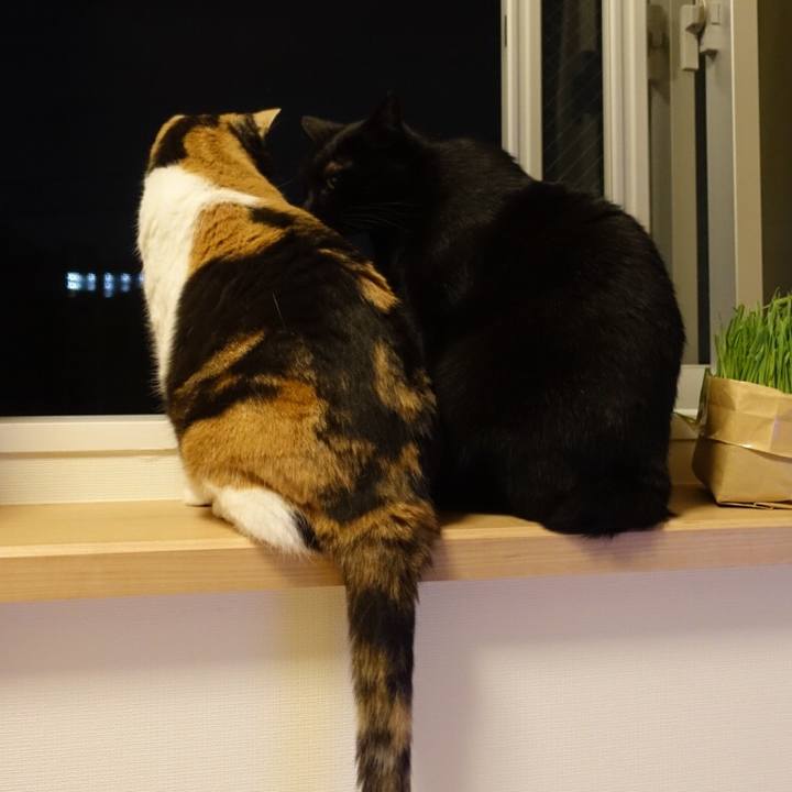 2a95abb2 a1c2 44f8 91a3 6049db82e13d