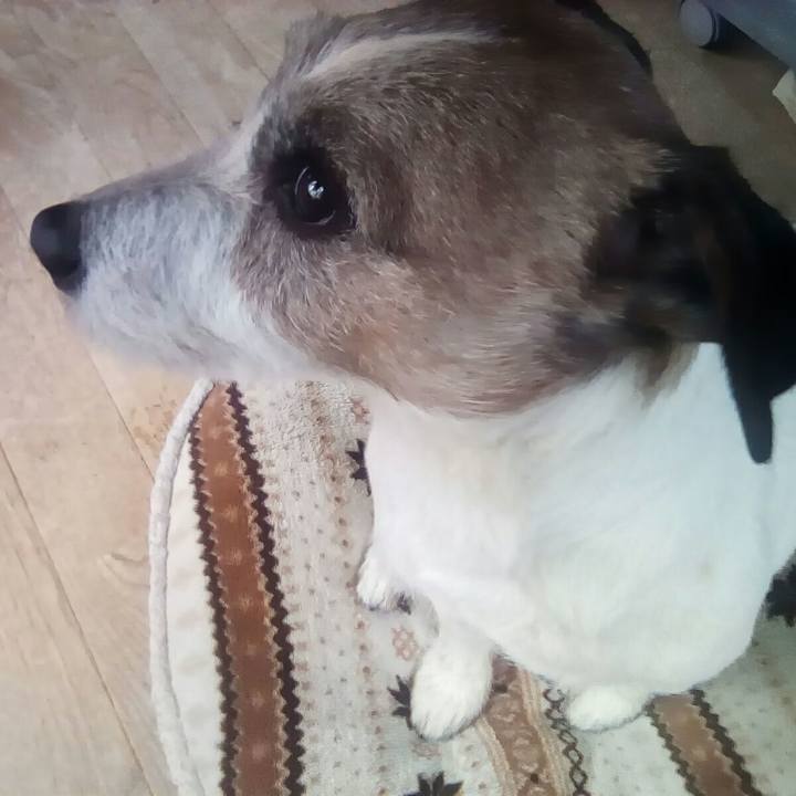 2a95da03 126a 4fc1 827d 74da35f0fb83