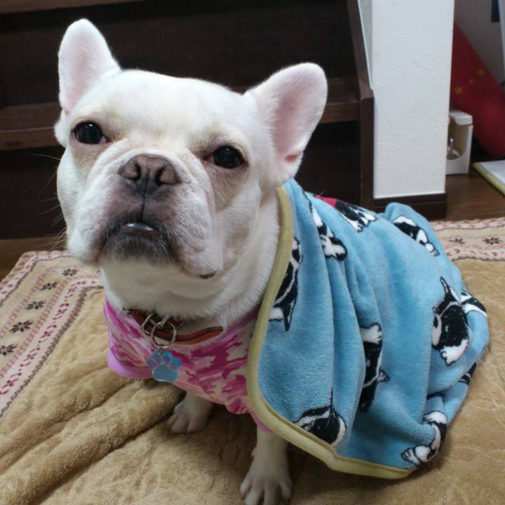 2a95fbe9 6836 4237 a30f b523a53fca6f