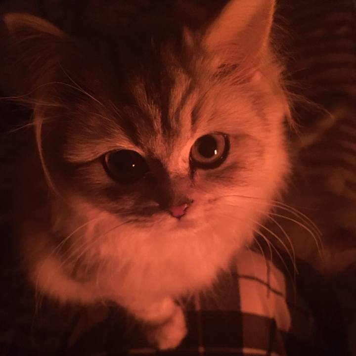 2a962321 82dd 4775 b06f 15b30b71be39