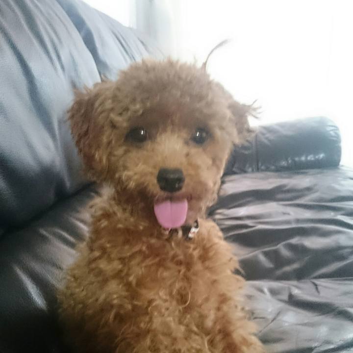 2a962afc a73a 4507 95f2 52c76ea9075e