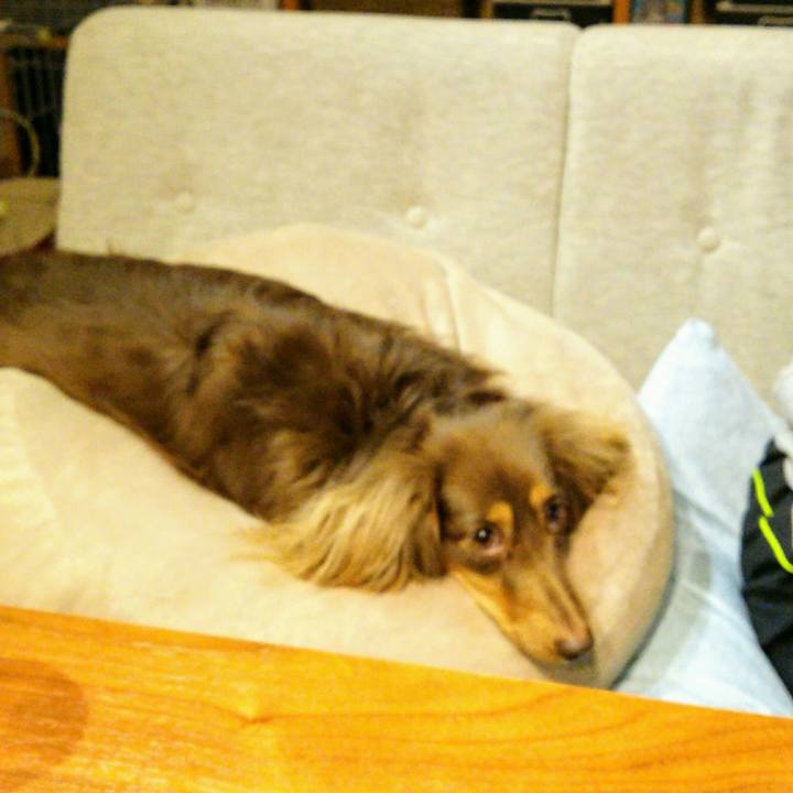 2a96576f 59f5 47a7 9ccb 1d5ffdbd0319