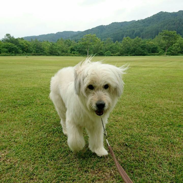 2a96682b 4df7 4afb af8a a1f6c5f33e98