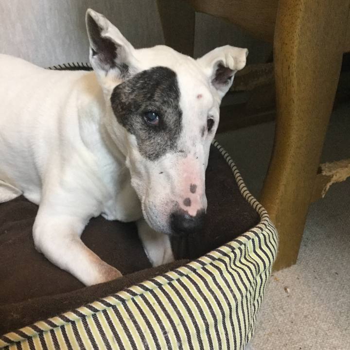 2a96e088 3fef 43c1 9259 15d8a6a9b570