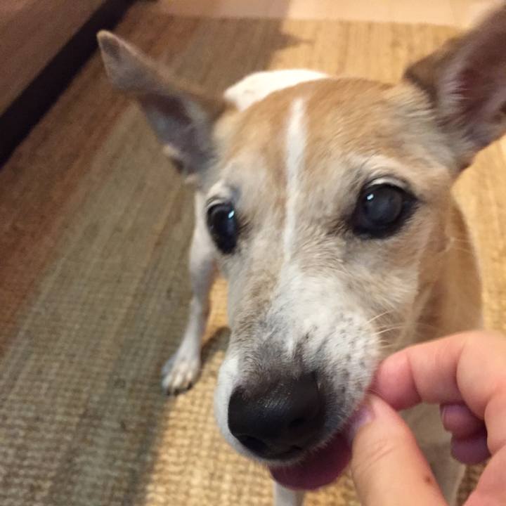 2a971988 542e 485a 8e50 7e190b29f241