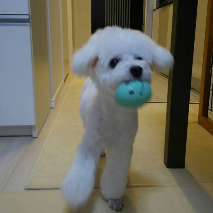 2a973124 9c83 4662 a04a 2310e8bdcdb3