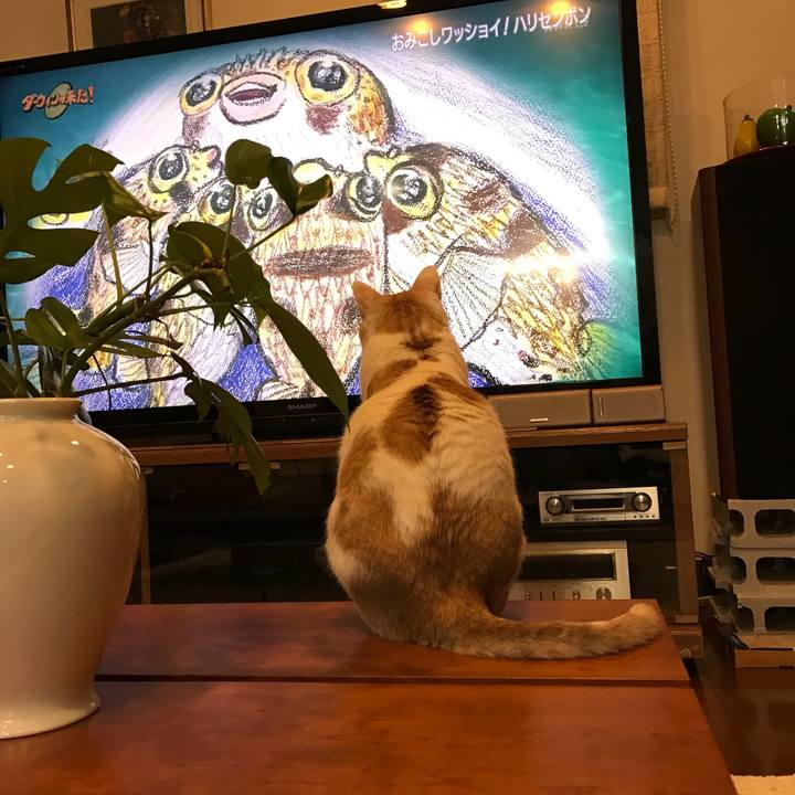 2a982ddb 71ec 4b65 b660 26adc7df6f2e