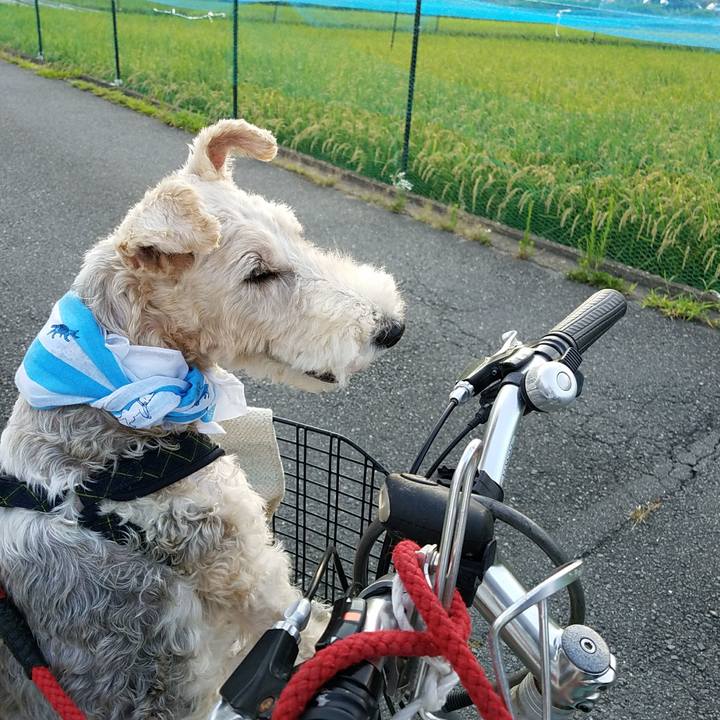 2a993006 21bb 4502 857c 07d9e706b5fc