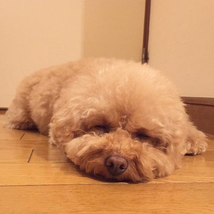 2a9a3b70 4524 4bb7 b952 8ec790aaea00