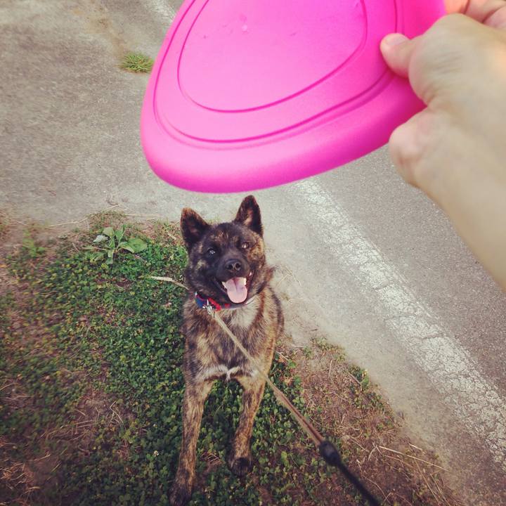 2a9a46ca 4d20 4522 aba0 09c1dcbba388