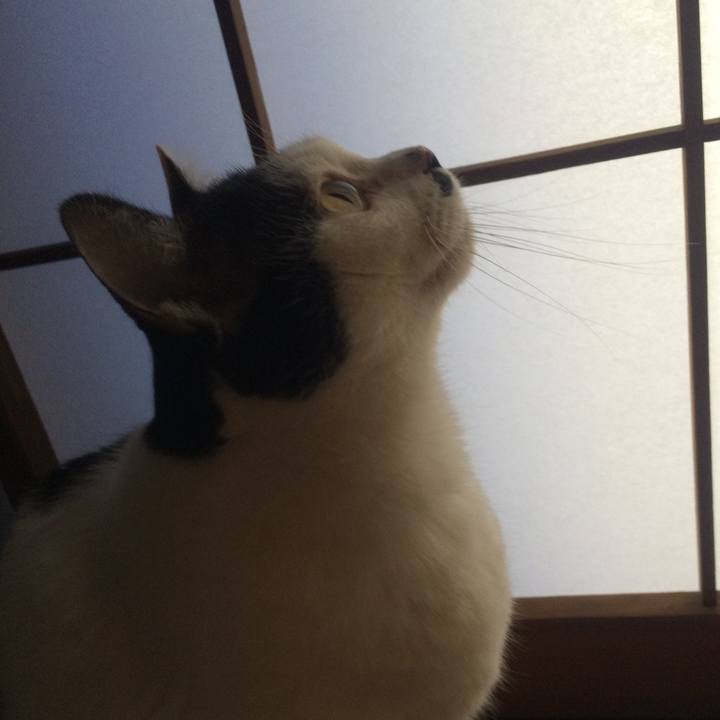 2a9a4cd0 9fd8 4ca2 bf43 751d75333309