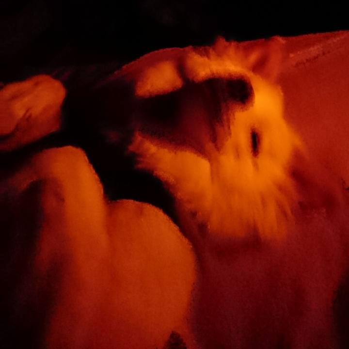 2a9a7f35 9454 49eb 930b 1508cb0ae4ca