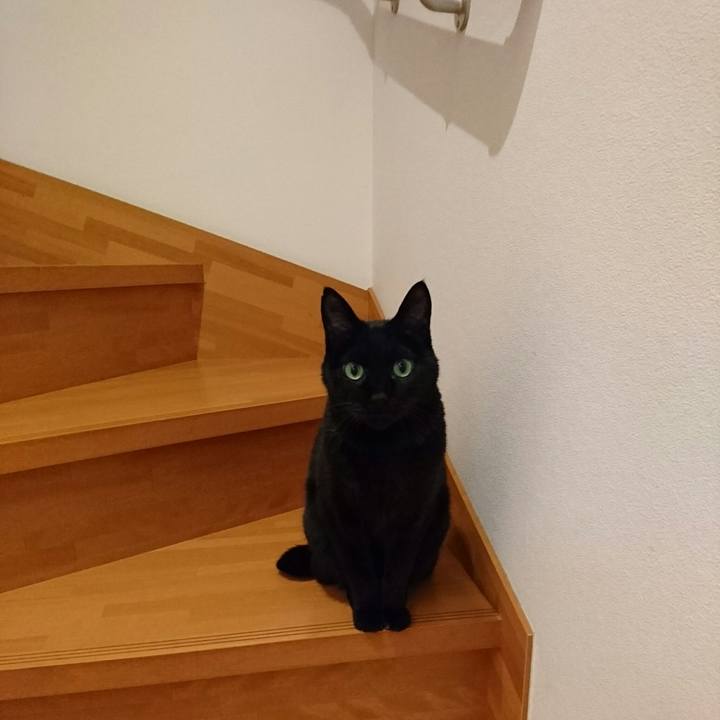 2a9a8d49 d7dd 42d0 a4b1 527e84ddb610