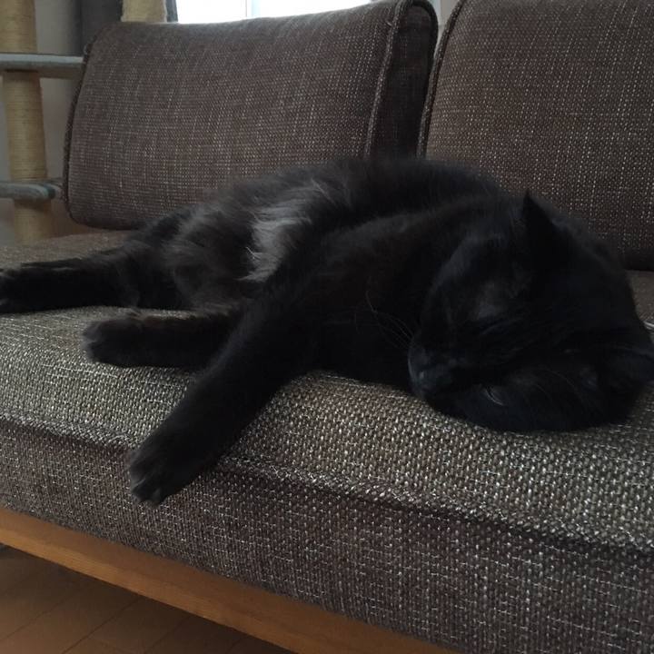 2a9aaee8 d96e 4b87 b0d6 ebd2a26f5ed5