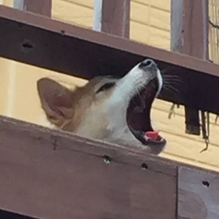 2a9ae0c7 ef5c 4859 aac4 522bce1008f3