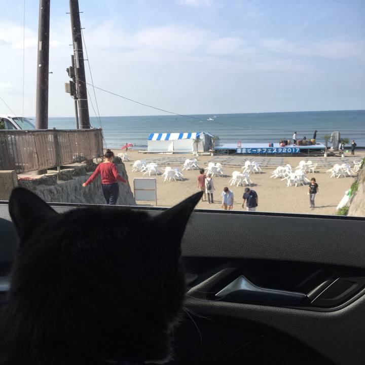 2a9b5f73 189e 40b9 b01d 88fd213d53cc