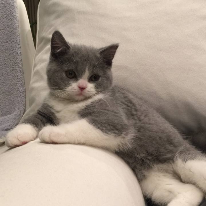 2a9b74a6 80be 4fe2 9a00 16696df0f106