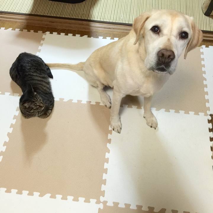 2a9bbf5d 843e 4596 af50 f3abac3bd1c7