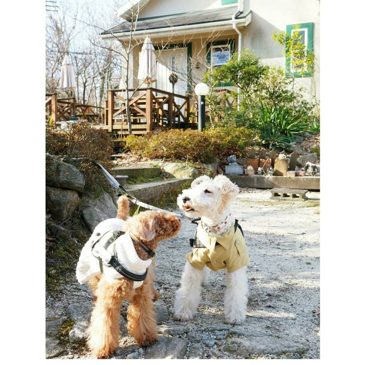 2a9bdd97 b3b3 4b31 ad66 b00c29390e40