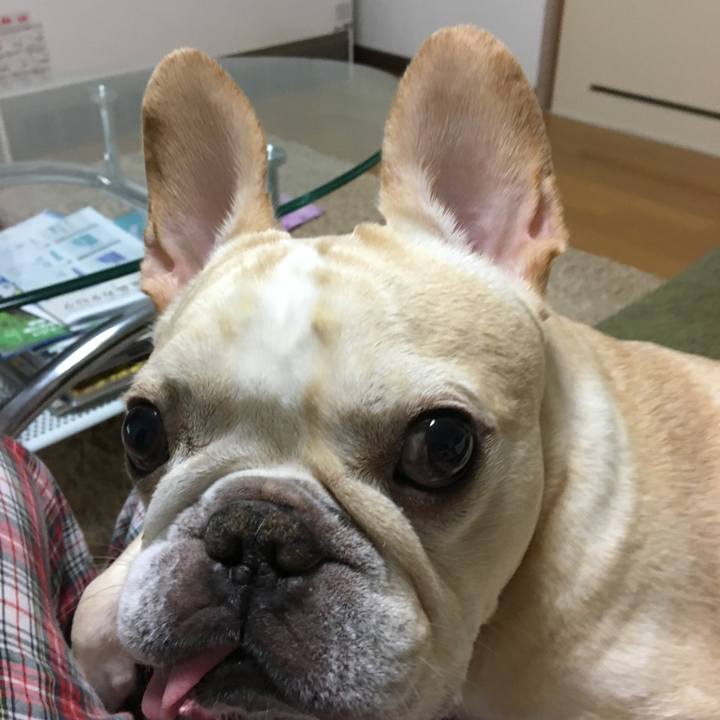 2a9c3432 0924 4a27 81ba 0ebe24b36ebe