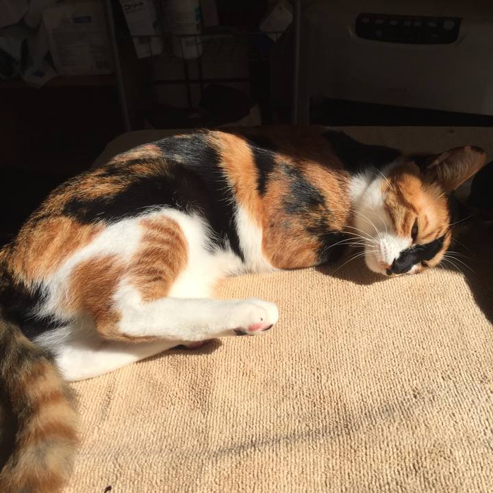 2a9c6179 d4fc 4a81 a53e 7a548777a4a4