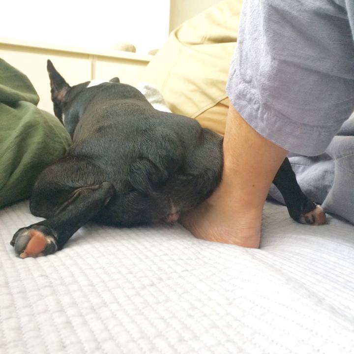 2a9c6aba 5b52 41d0 bb87 520291ad3307