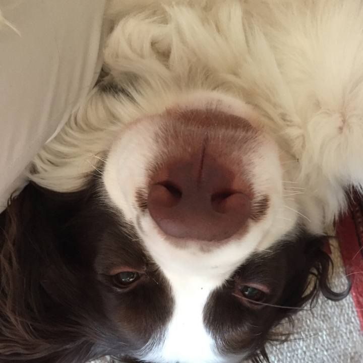 2a9c7c66 c158 4d48 ac0b 81eeb435a504