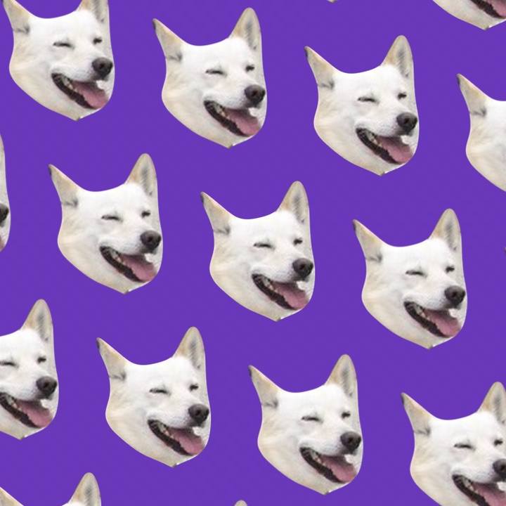 2a9c8e73 433c 4216 b506 21281a98b71e