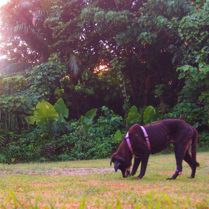 2a9d9a57 8c00 4202 b4b1 fb10599156ee