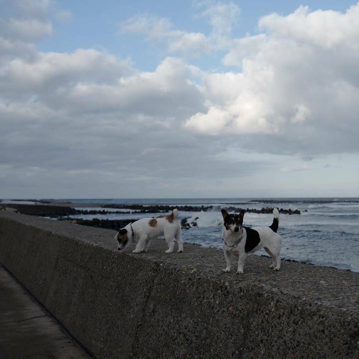 2a9e3050 bdec 4254 89bb 4698b0d61400