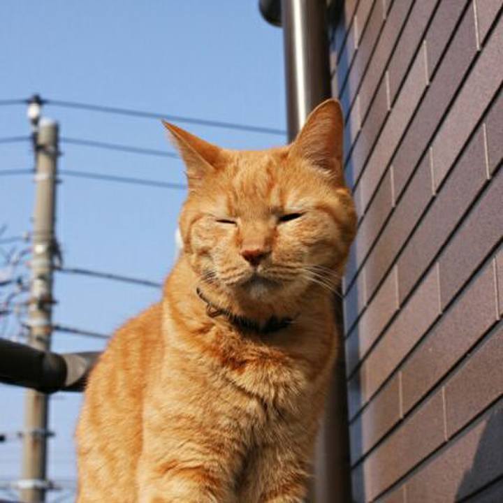 2aa000c2 ae74 4f96 8d15 1cba1948ab84