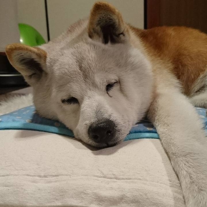 2aa14bda 18c7 4110 97e9 8a6508af374f