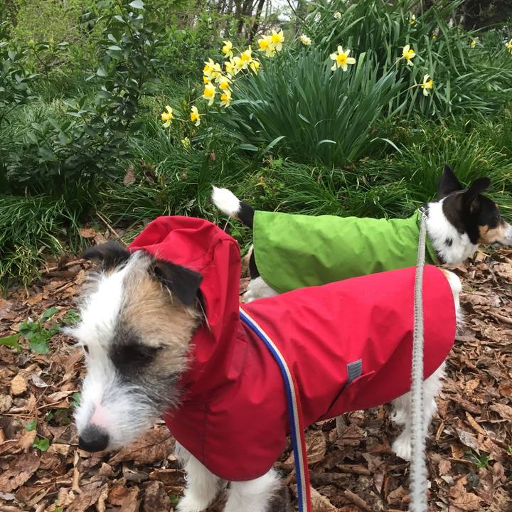 2aa1a8a6 f058 492f afca 2b94a94bffb9