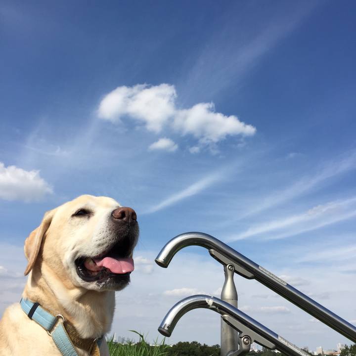 2aa1c55e 9675 41a7 aa4c 671259ffbfc7