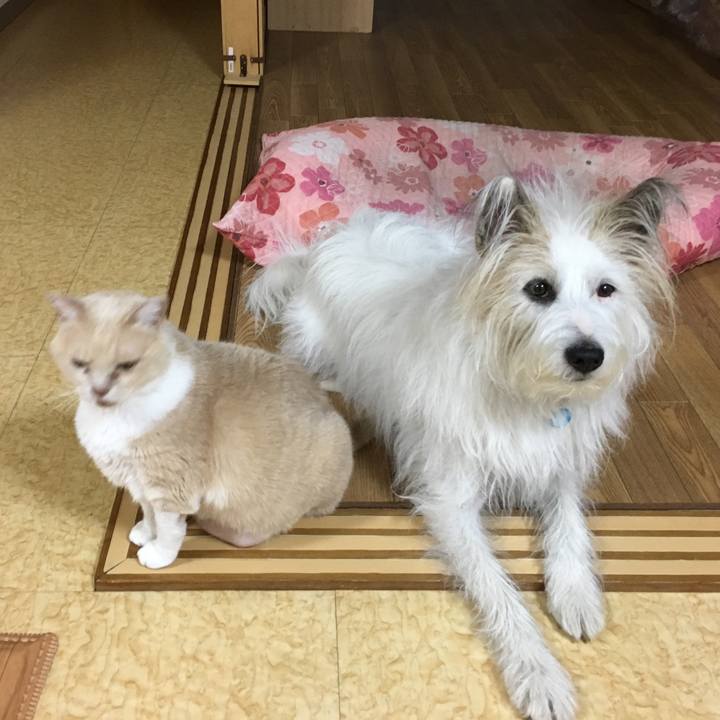 2aa22874 f84e 495b 9b7c c08beb47110b