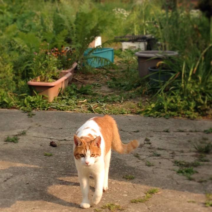 2aa330a0 92e9 47a7 8c3f 9e746e3a067c