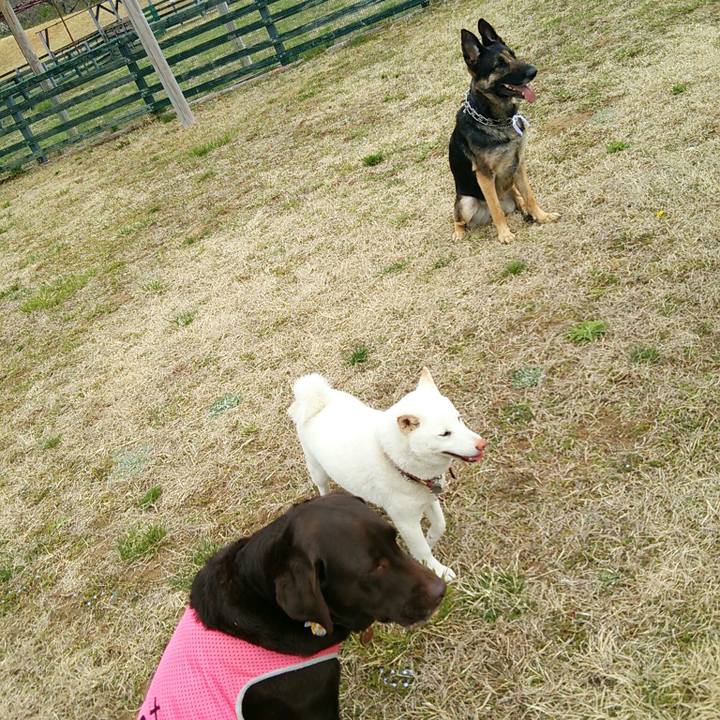 2aa37dac 235d 488d 82cc 33b3677f4219