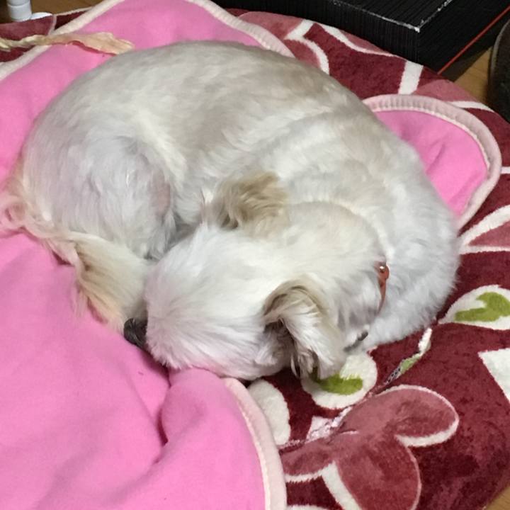 2aa3f21e 5046 498d b17f b68e07464218