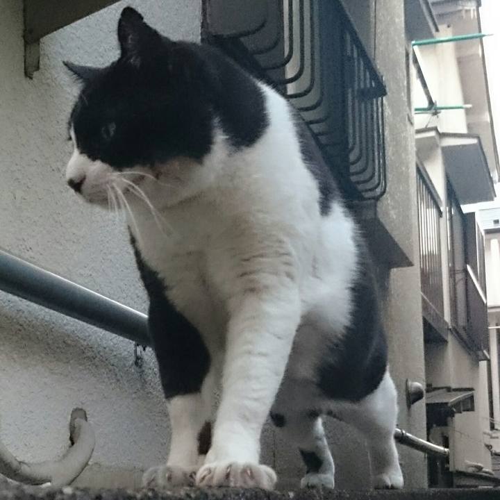 2aa464c9 b781 48ae bd83 b891627c2d9e