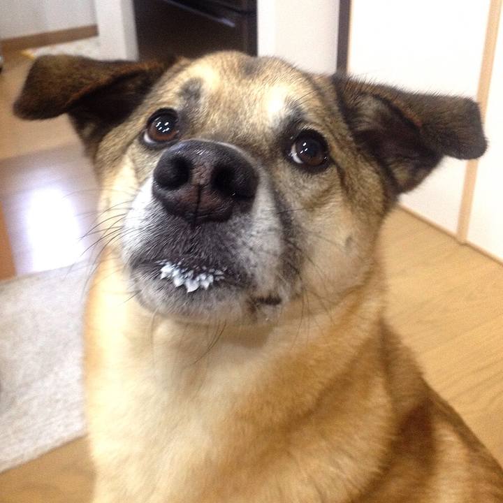 2aa49f2c 530c 43cc 8228 4adeaeedb8cb