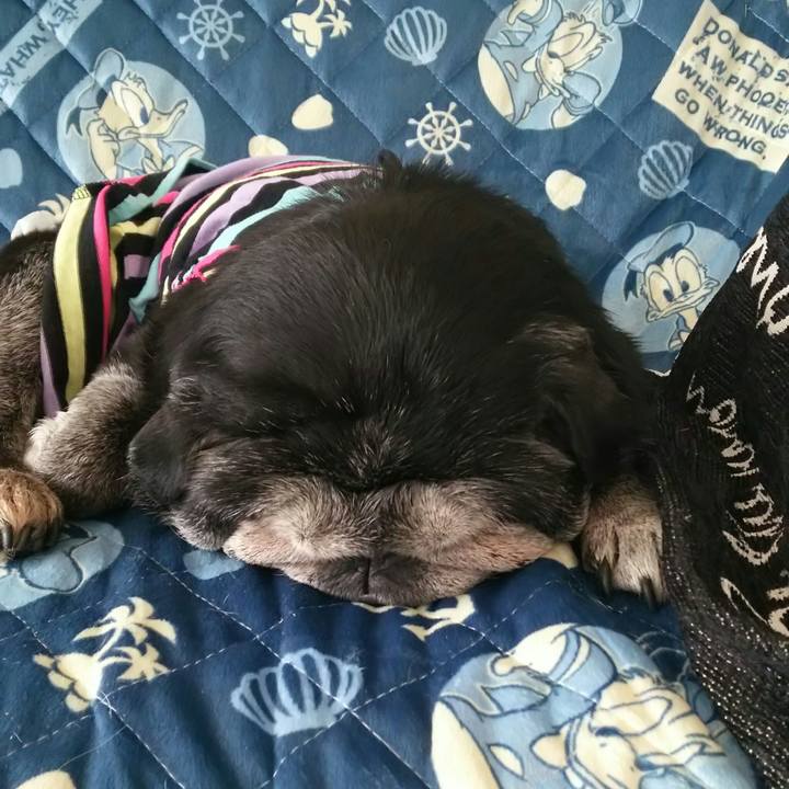 2aa4c91d bc69 4020 b717 02d9d04d8e90