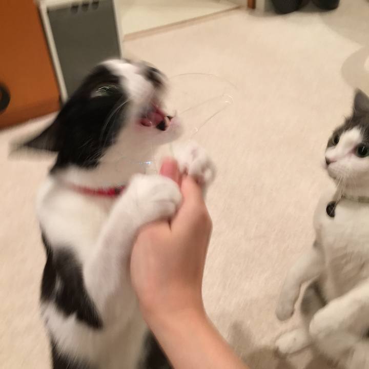 2aa4ee5f dae3 4bec a148 786e8bd53dcd