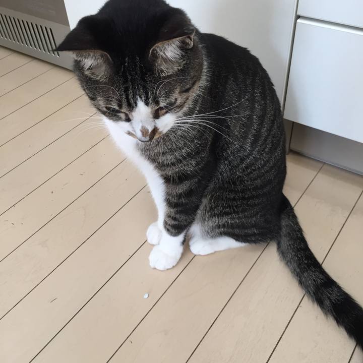 2aa50431 bd96 4cbd 87b2 b99740f55757