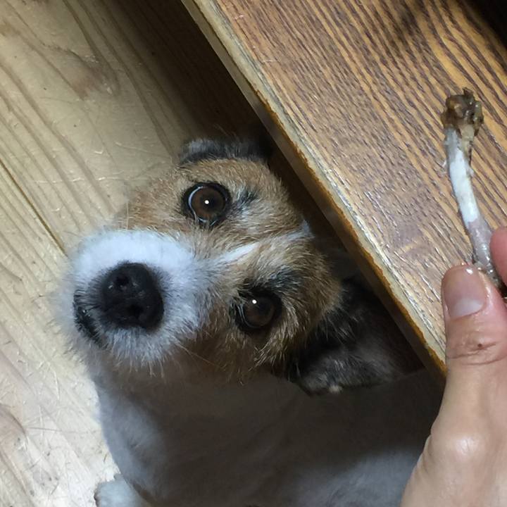 2aa5486e a169 4810 87dc b8fcb2d5eaee