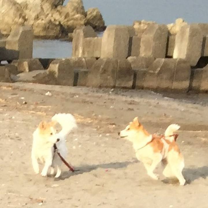 2aa5f554 e4f9 4f75 92ca a410fe25cc9a