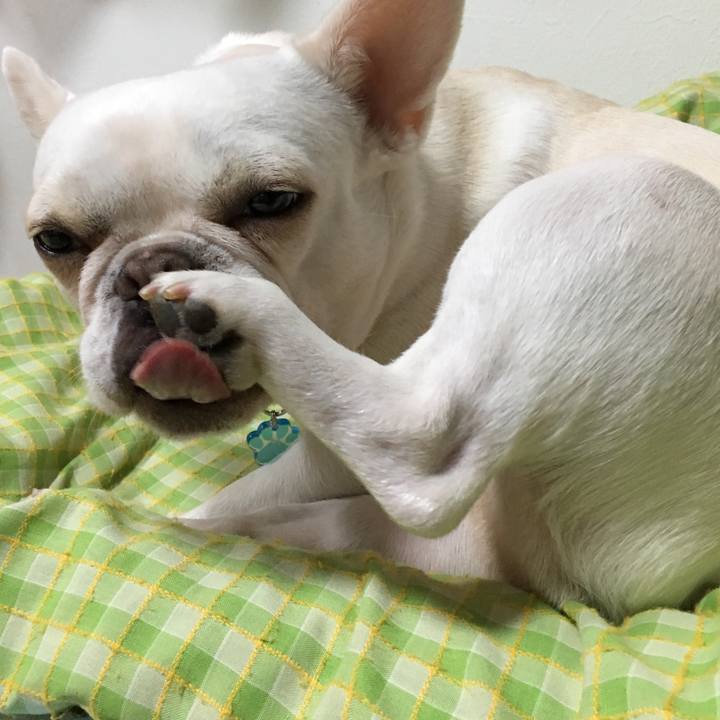 2aa62ee8 648c 459b 8511 793c1dcba502