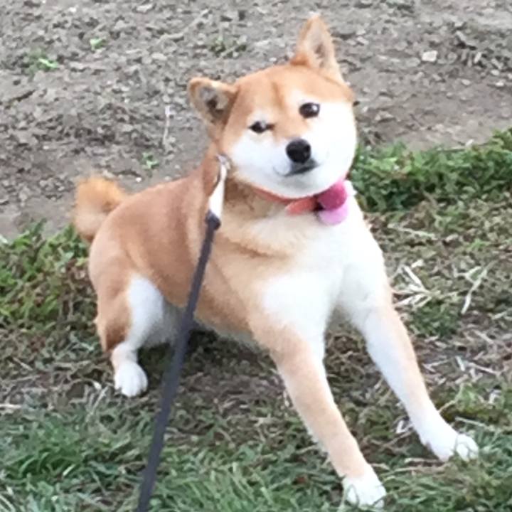 2aa64e0f 467f 467d 9cff 834b71954b0f