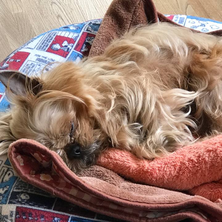 2aa695e7 b3c4 4ada acd4 b22731850700