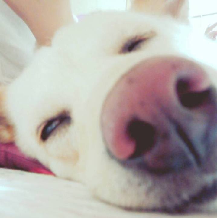 2aa7f6bc 5384 4605 a828 0b8084e3d042